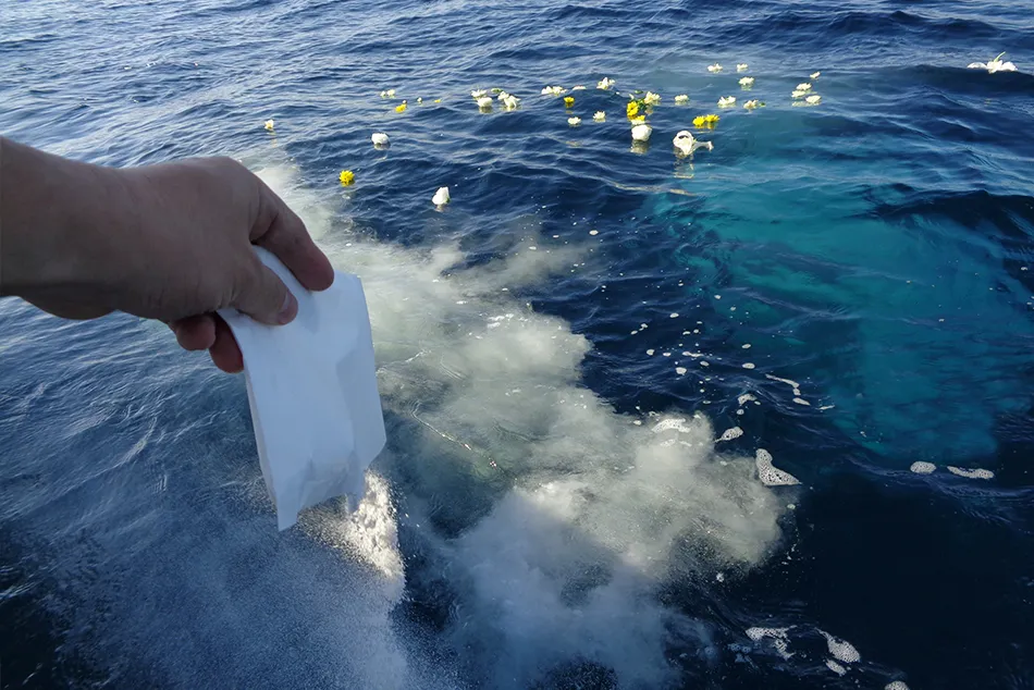 海洋散骨